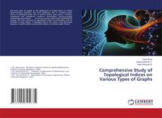 Copertina di Comprehensive Study of Topological Indices on Various Types of Graphs