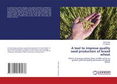 Buchcover von A tool to improve quality seed production of bread wheat