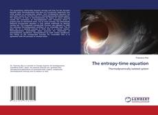 Buchcover von The entropy-time equation