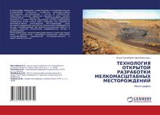 Buchcover von ТЕХНОЛОГИЯ ОТКРЫТОЙ РАЗРАБОТКИ МЕЛКОМАСШТАБНЫХ МЕСТОРОЖДЕНИЙ