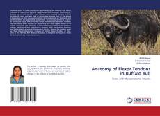 Copertina di Anatomy of Flexor Tendons in Buffalo Bull