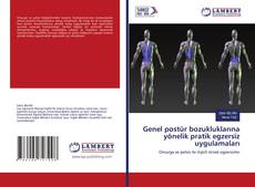 Buchcover von Genel postür bozukluklarına yönelik pratik egzersiz uygulamaları