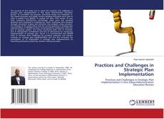 Copertina di Practices and Challenges in Strategic Plan Implementation