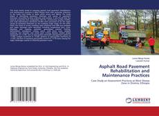 Copertina di Asphalt Road Pavement Rehabilitation and Maintenance Practices