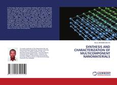 Buchcover von SYNTHESIS AND CHARACTERIZATION OF MULTICOMPONENT NANOMATERIALS