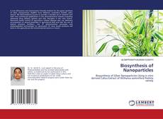 Copertina di Biosynthesis of Nanoparticles