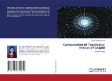 Copertina di Computation of Topological Indices of Graphs