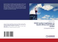 Buchcover von Child Justice Legislation in South Africa and South Sudan