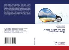 Copertina di A Deep Insight into the Future of Energy