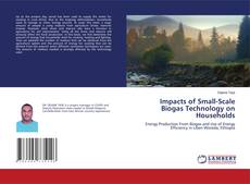 Copertina di Impacts of Small-Scale Biogas Technology on Households