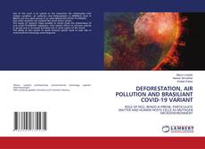 Buchcover von DEFORESTATION, AIR POLLUTION AND BRASILIANT COVID-19 VARIANT