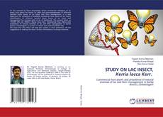 Copertina di STUDY ON LAC INSECT, Kerria lacca Kerr.