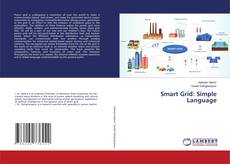 Buchcover von Smart Grid: Simple Language