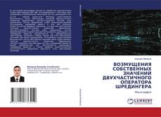 Copertina di ВОЗМУЩЕНИЯ СОБСТВЕННЫХ ЗНАЧЕНИЙ ДВУХЧАСТИЧНОГО ОПЕРАТОРА ШРЕДИНГЕРА