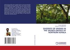 Buchcover von DIVERSITY OF SPIDERS IN THE SACRED GROVES OF NORTHERN KERALA