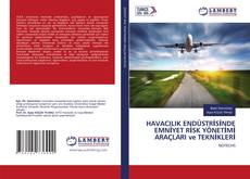 Buchcover von HAVACILIK ENDÜSTRİSİNDE EMNİYET RİSK YÖNETİMİ ARAÇLARI ve TEKNİKLERİ