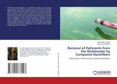 Buchcover von Removal of Pollutants from the Wastewater by Composite Nanofibers