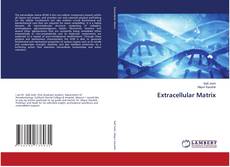 Buchcover von Extracellular Matrix