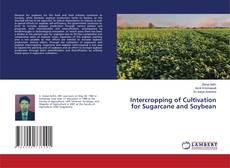 Buchcover von Intercropping of Cultivation for Sugarcane and Soybean
