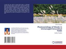 Buchcover von Phytosociology of Weeds in Unmanaged Groundnut Fields