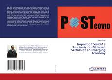 Buchcover von Impact of Covid-19 Pandemic on Different Sectors of an Emerging Economy