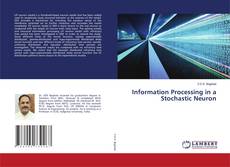 Buchcover von Information Processing in a Stochastic Neuron