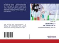 Buchcover von Lead induced encephalopathy