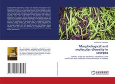 Copertina di Morphological and molecular diversity in cowpea