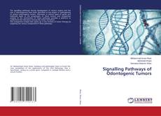 Copertina di Signalling Pathways of Odontogenic Tumors