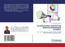 Buchcover von FLUORESCENCE KINETICS OF BISMUTH PHOSPHATE GLASSES