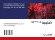 Bookcover of VEGF-A/VEGFR-2 signaling in angiogenesis