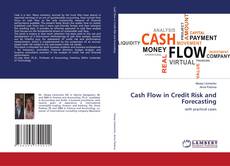 Buchcover von Cash Flow in Credit Risk and Forecasting