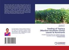 Copertina di Feeding of Tapioca (Manihot esculenta crantz) Leaves to Ruminants