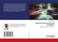 Bookcover of Pastoral Community and Irrigation