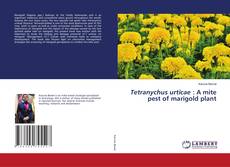 Buchcover von Tetranychus urticae : A mite pest of marigold plant