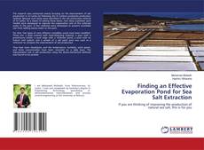 Finding an Effective Evaporation Pond for Sea Salt Extraction的封面