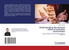 Buchcover von Understanding the forecast effect of turbulent environment