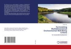 Copertina di Formulating Multidimensional Environmental Well-Being Criteria