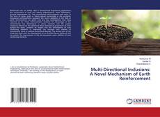 Copertina di Multi-Directional Inclusions: A Novel Mechanism of Earth Reinforcement