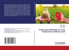 Copertina di Estimation Methods of Crop Production at Block Level
