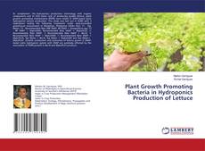 Bookcover of Plant Growth Promoting Bacteria in Hydroponics Production of Lettuce