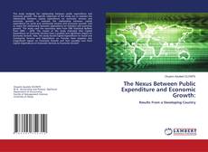 Copertina di The Nexus Between Public Expenditure and Economic Growth: