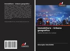 Immobiliare - Urbano geografico kitap kapağı