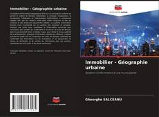 Immobilier - Géographie urbaine kitap kapağı