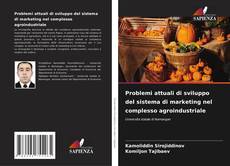 Buchcover von Problemi attuali di sviluppo del sistema di marketing nel complesso agroindustriale