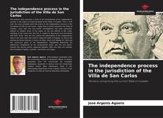 Copertina di The independence process in the jurisdiction of the Villa de San Carlos