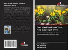 Обложка Pozzi di zolfo nel Long Term Field Experiment [LTFE]