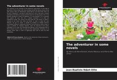 Bookcover of The adventurer in some novels