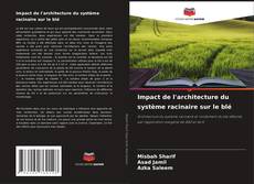 Capa do livro de Impact de l'architecture du système racinaire sur le blé 