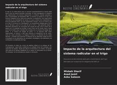 Buchcover von Impacto de la arquitectura del sistema radicular en el trigo